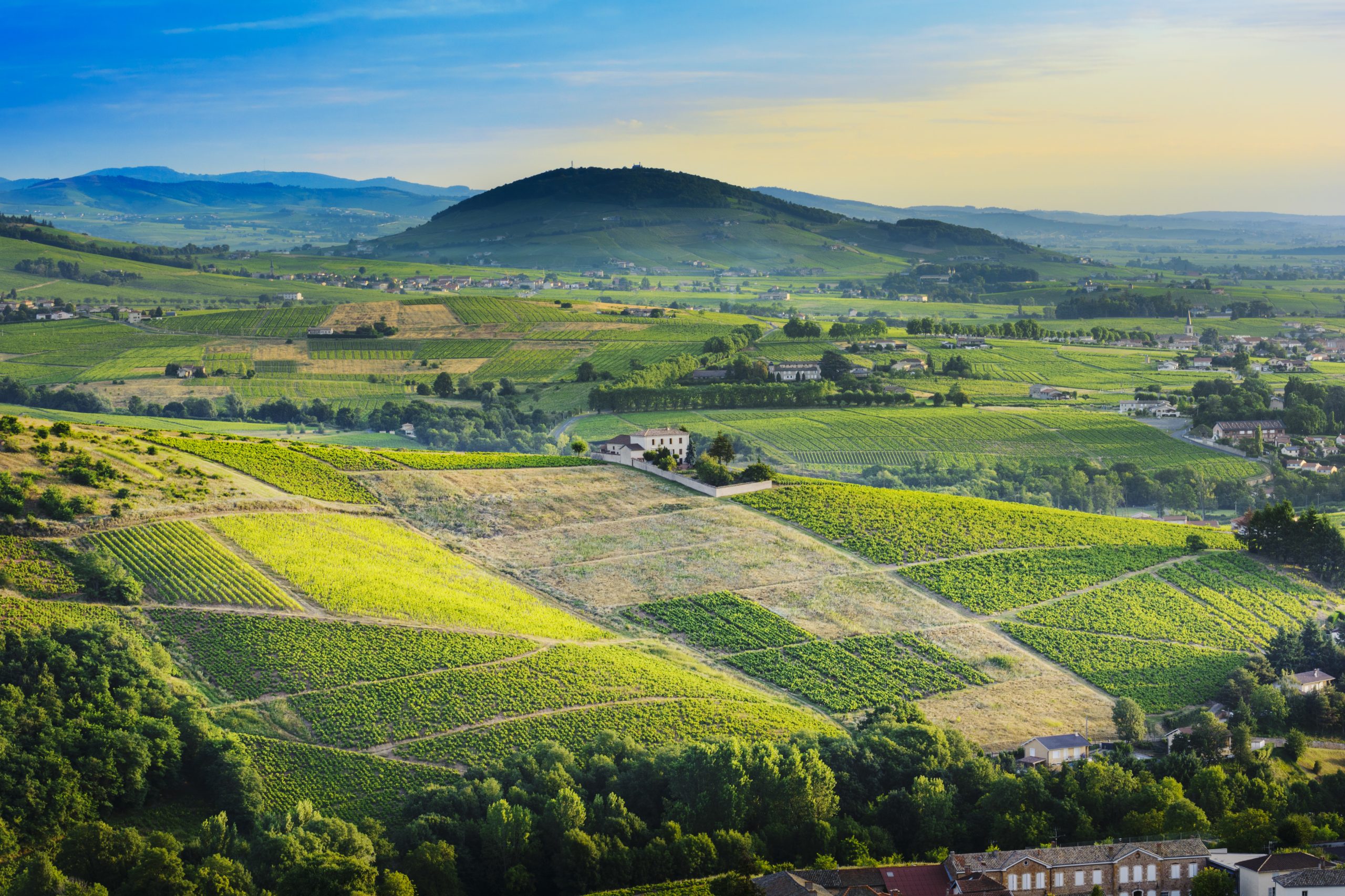 communauté de communes saône beaujolais